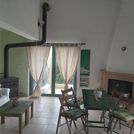 The White Rabbit Guesthouse Eco-Lodge "Cosy Apartment" Psakoudia Zewnętrze zdjęcie