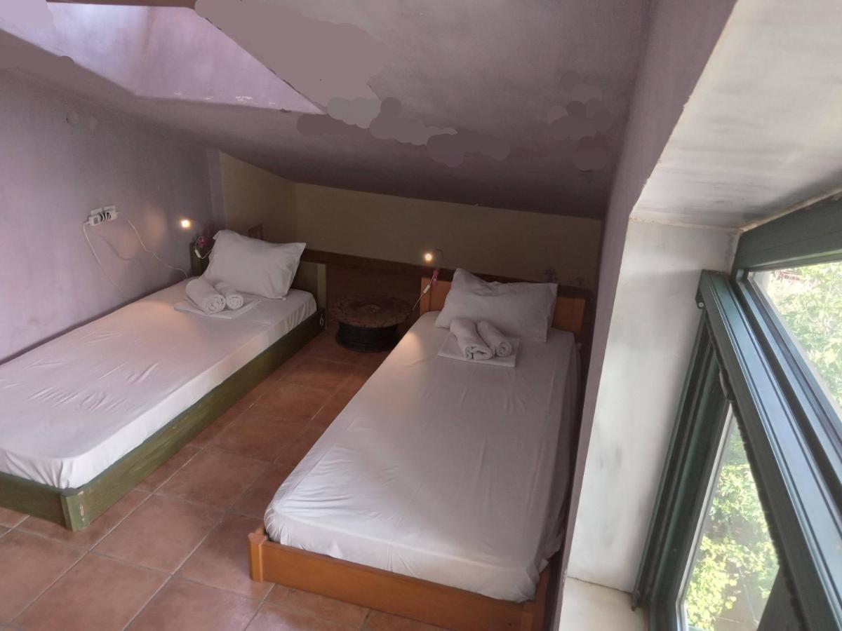 The White Rabbit Guesthouse Eco-Lodge "Cosy Apartment" Psakoudia Zewnętrze zdjęcie